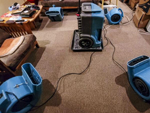 Cost of Flood Damage Recovery in Plano