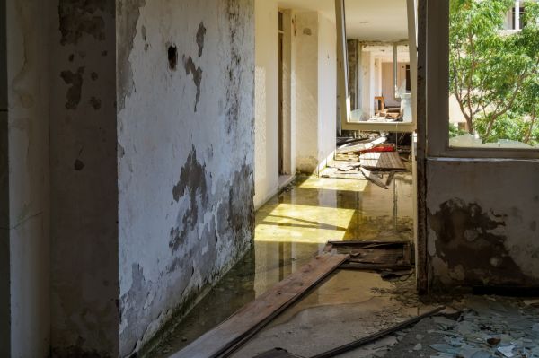 Cost of Water Removal Service in Plano