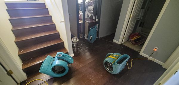 Cost of Water Damage Remediation in Plano