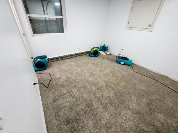Cost of Flood Restoration Service in Plano