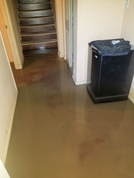 Cost of Emergency Water Removal in Plano