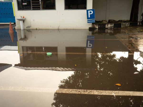 Cost of Storm Damage Repair in Plano