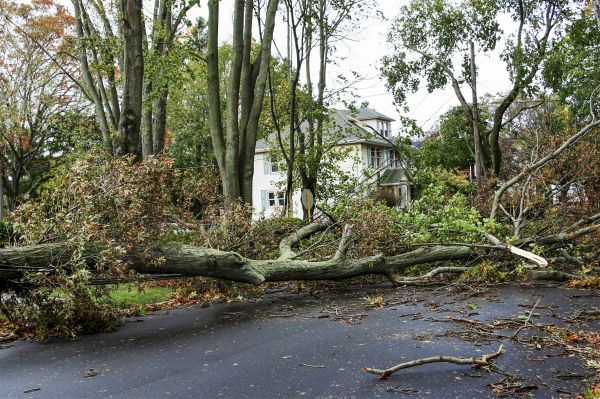 Cost of Tornado Damage Repair in Plano