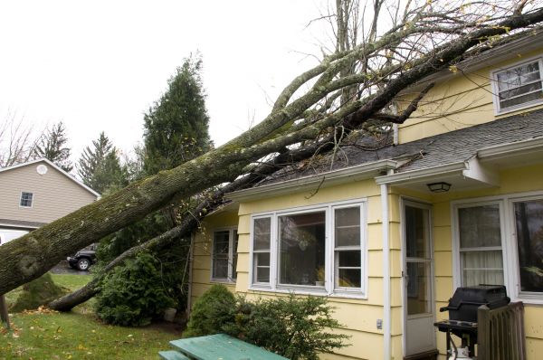 Cost of Storm Damage Mitigation in Plano