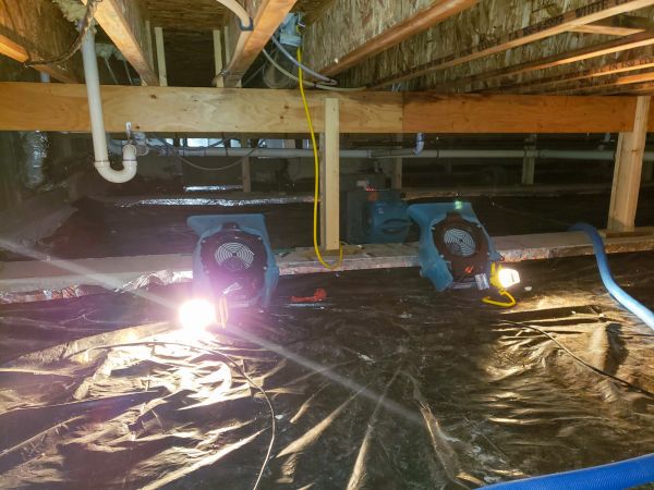 Cost of Crawlspace Water Removal in Plano