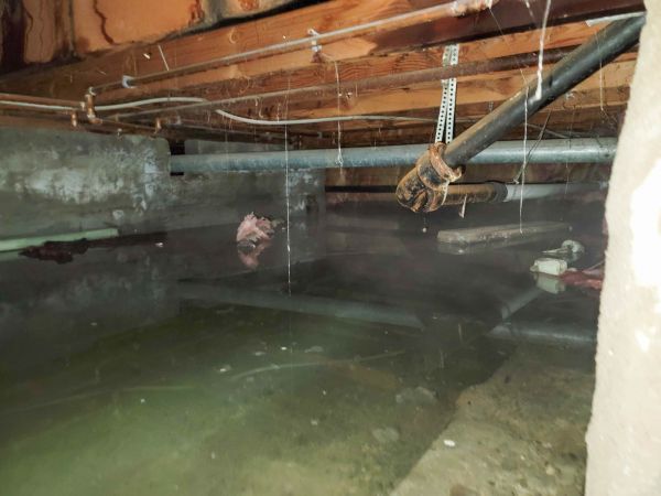 Cost of Crawlspace Water Restoration in Plano